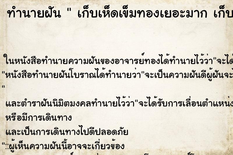 ทำนายฝัน เก็บเห็ดเข็มทองเยอะมาก เก็บเห็ดเข็มทองเยอะมาก ทำนายฝัน เก็บเห็ดเข็มทองเยอะมาก เก็บเห็ดเข็มทองเยอะมาก